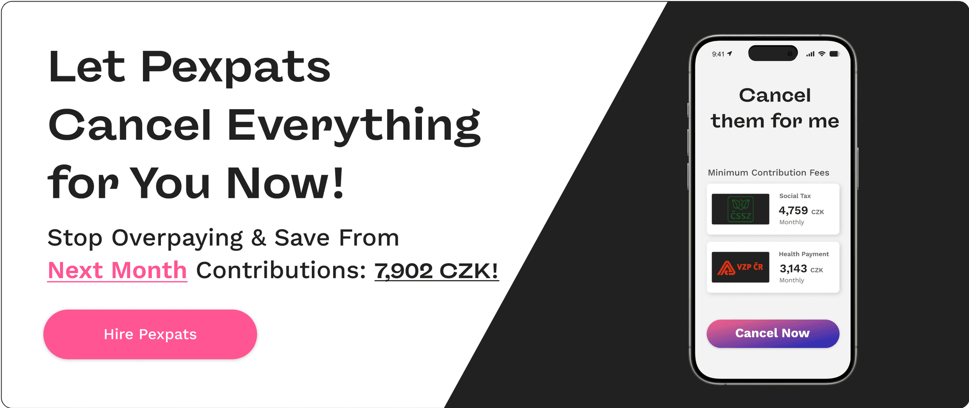 Trade license cancellation czech republic