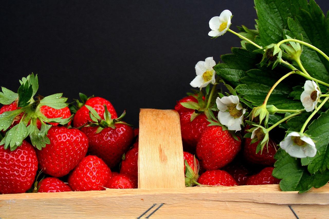 Strawberry season in the Czech Republic. Find places where you can pick strawberries by yourself!